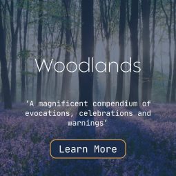 Friday Clicks - A Click of Interesting: Woodlands