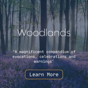 Friday Clicks - A Click of Interesting: Woodlands